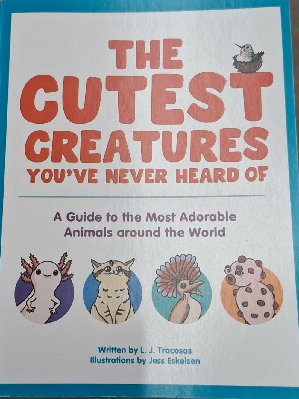 New The Cutest Creatures You've Never Heard Of Book